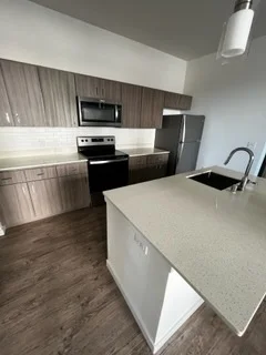 Modern kitchen with wood cabinetry, quartz island, and stainless steel appliances