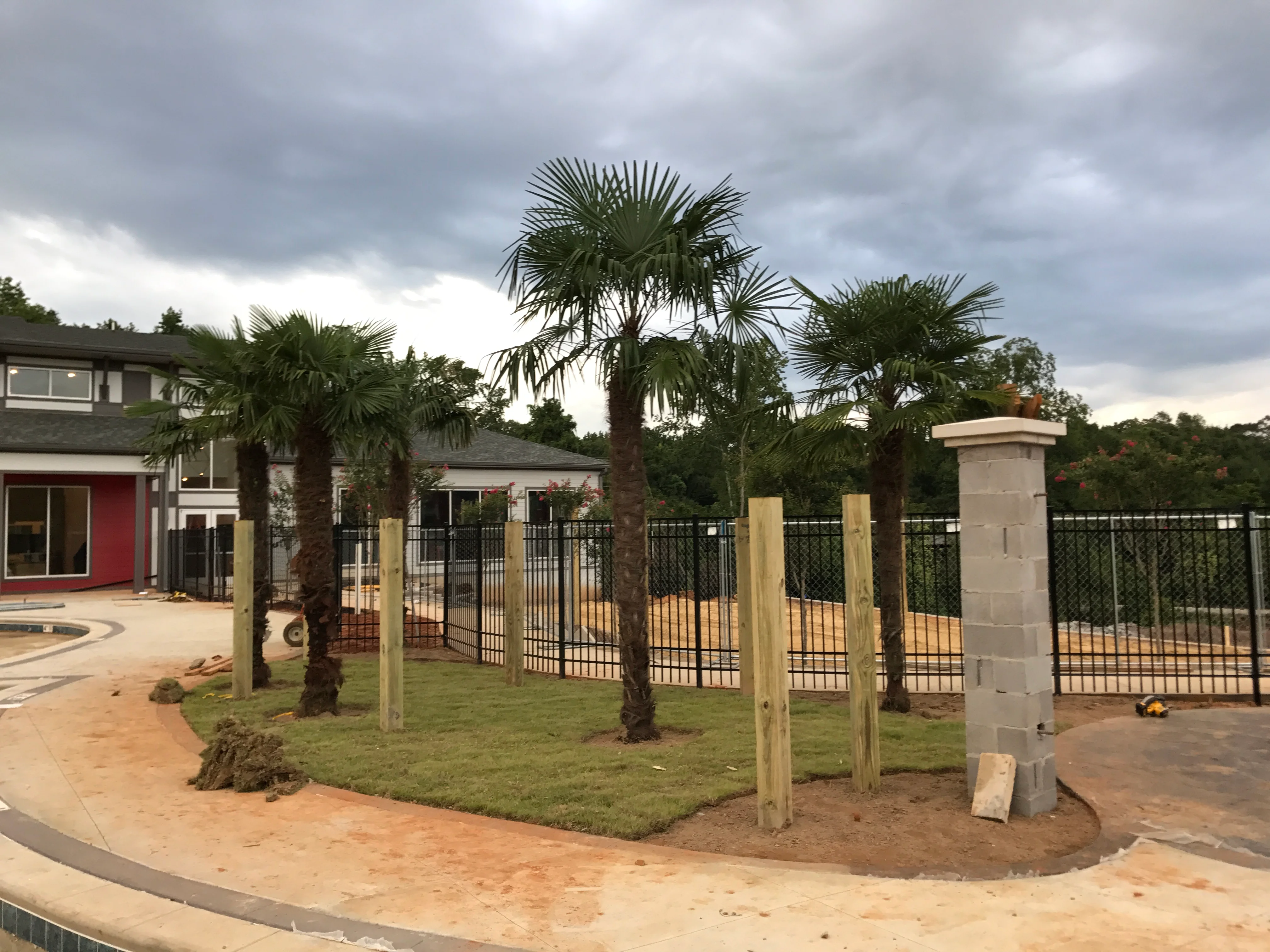 Black metal fence with wood posts and palm trees in residential yard
